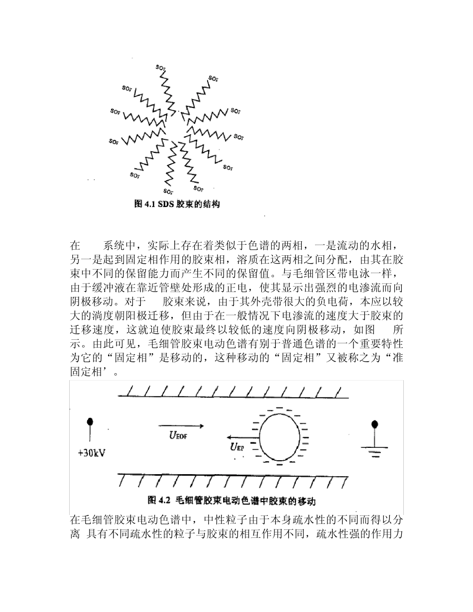 毛细管胶束电动色谱分离原理_第2页