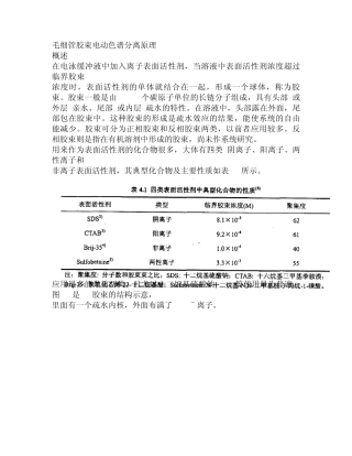 毛细管胶束电动色谱分离原理