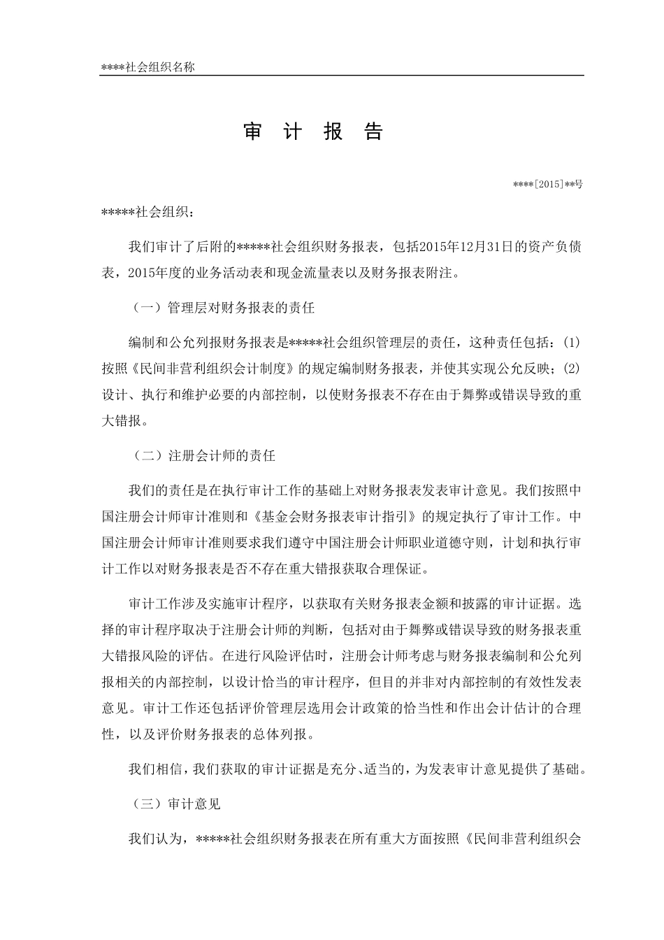 民办非企业单位年度财务审计报告范本_第1页