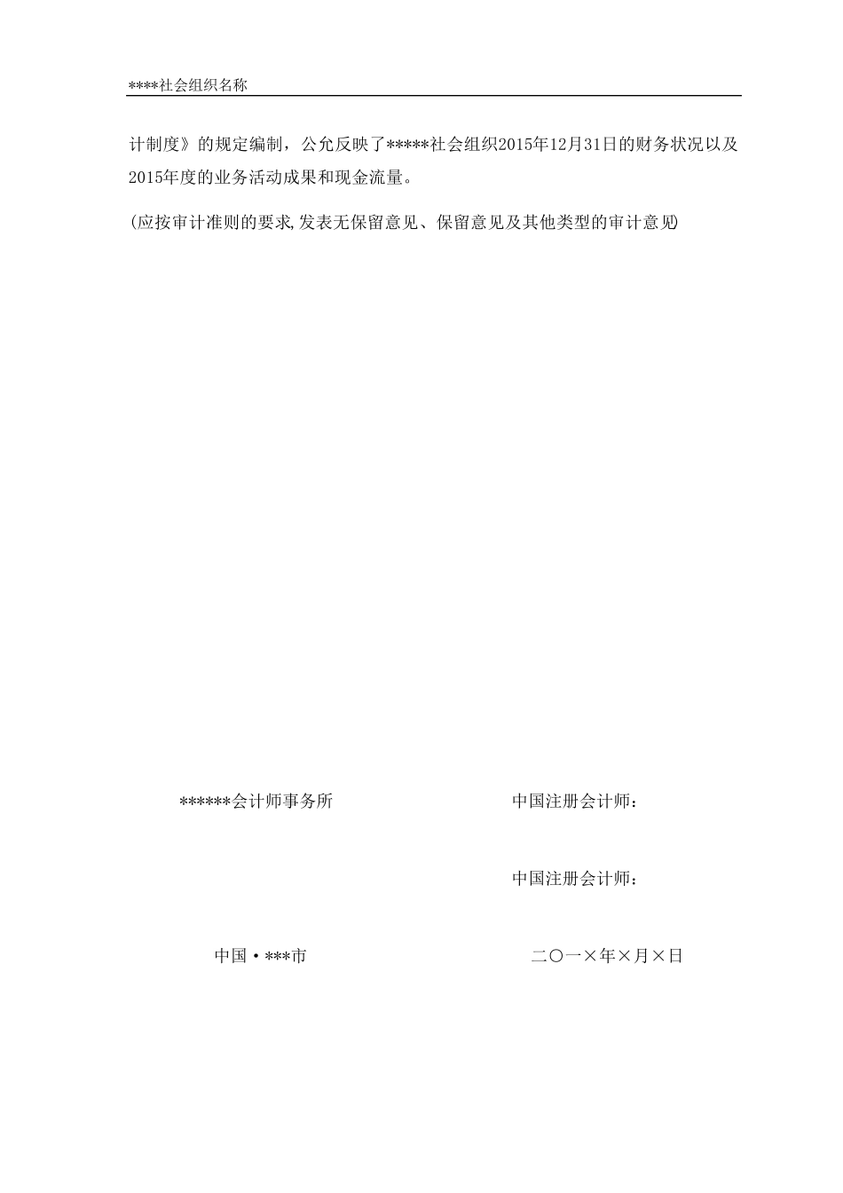 民办非企业单位年度财务审计报告范本_第2页