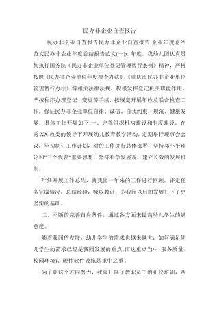 民办非企业自查报告