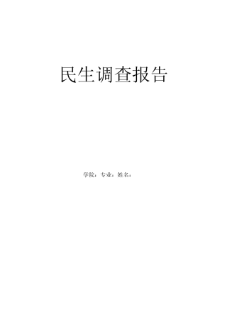 民生调查报告
