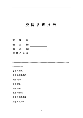 民生银行信贷部授信实战资料