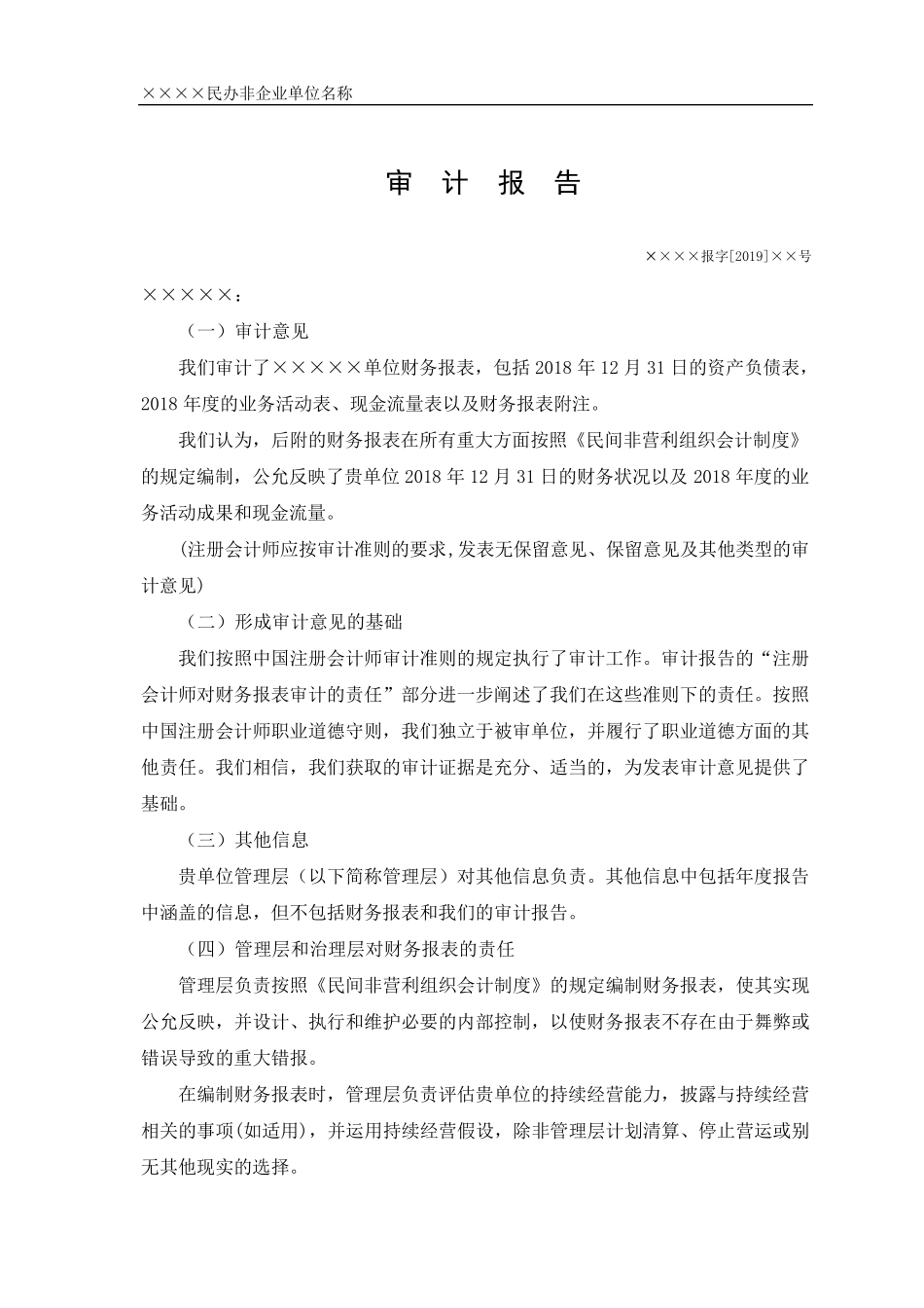 民间非营利组织审计报告_第1页