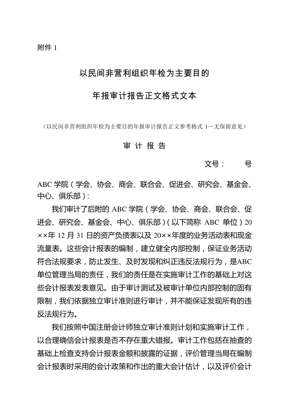 民间非营利组织年检审计报告参考格式_第1页