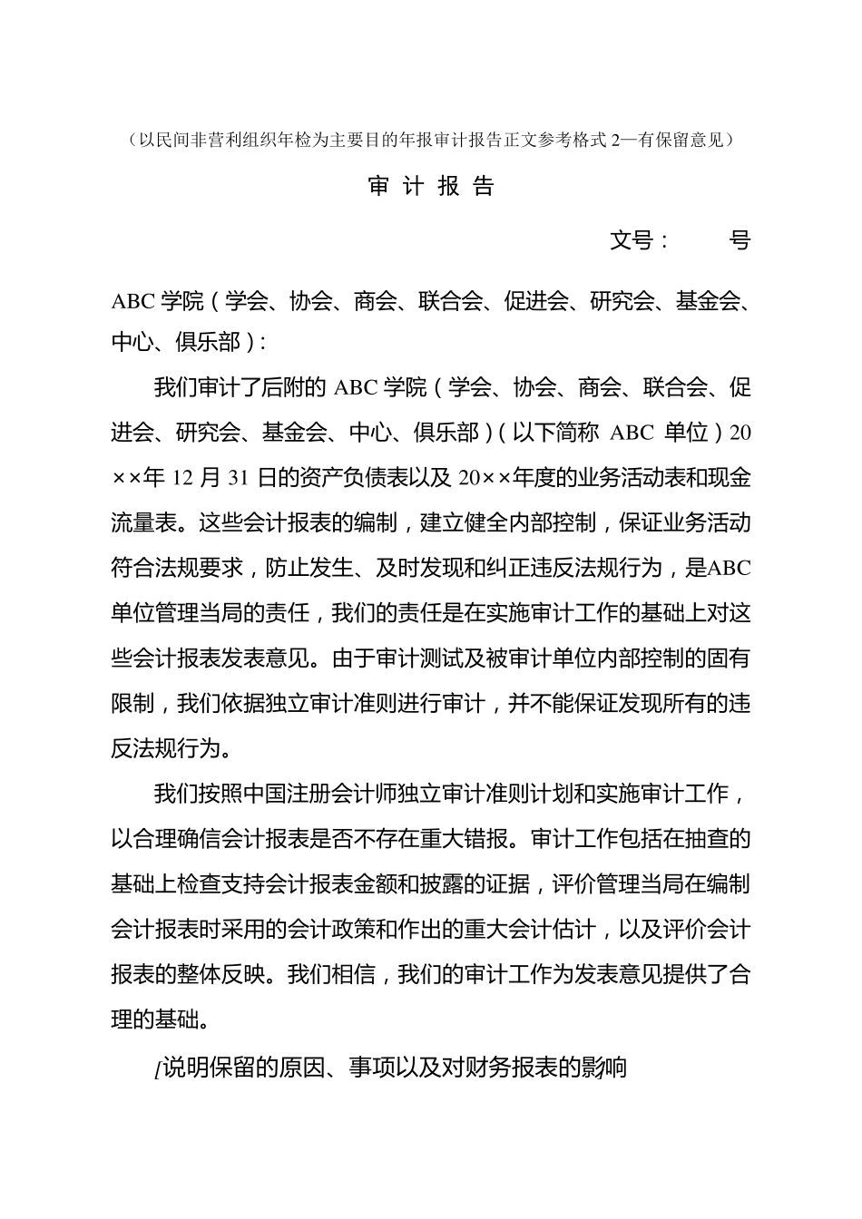 民间非营利组织年检审计报告参考格式_第3页
