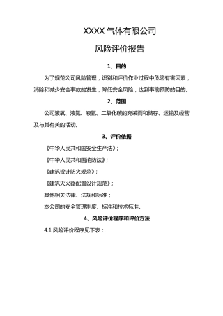 气体厂风险评价报告
