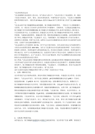 气孔的结构及运动