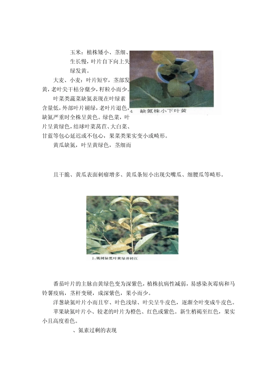 氮磷钾肥料的有关知识_第2页