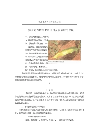 氮磷钾肥料的有关知识