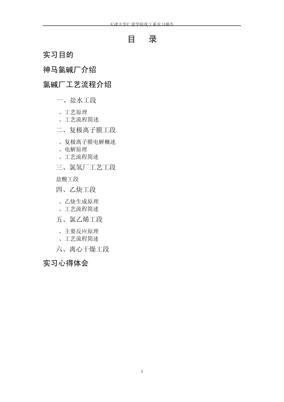 氯碱化工实习报告_第1页