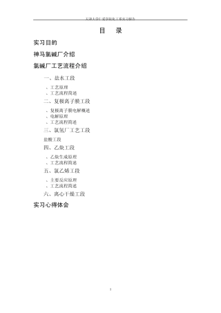 氯碱化工实习报告