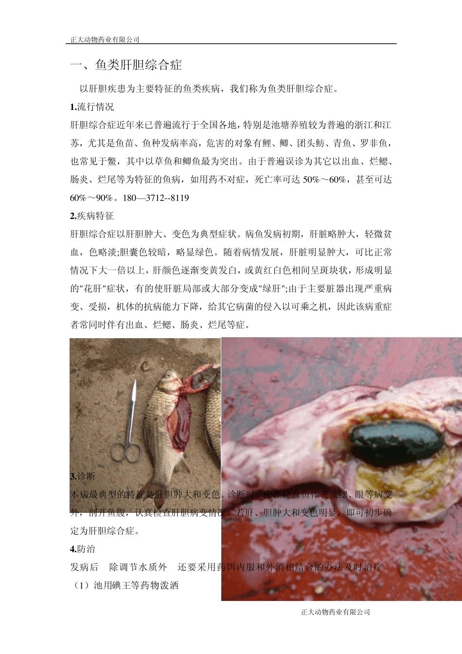 水产养殖中常见鱼病及治疗_第1页