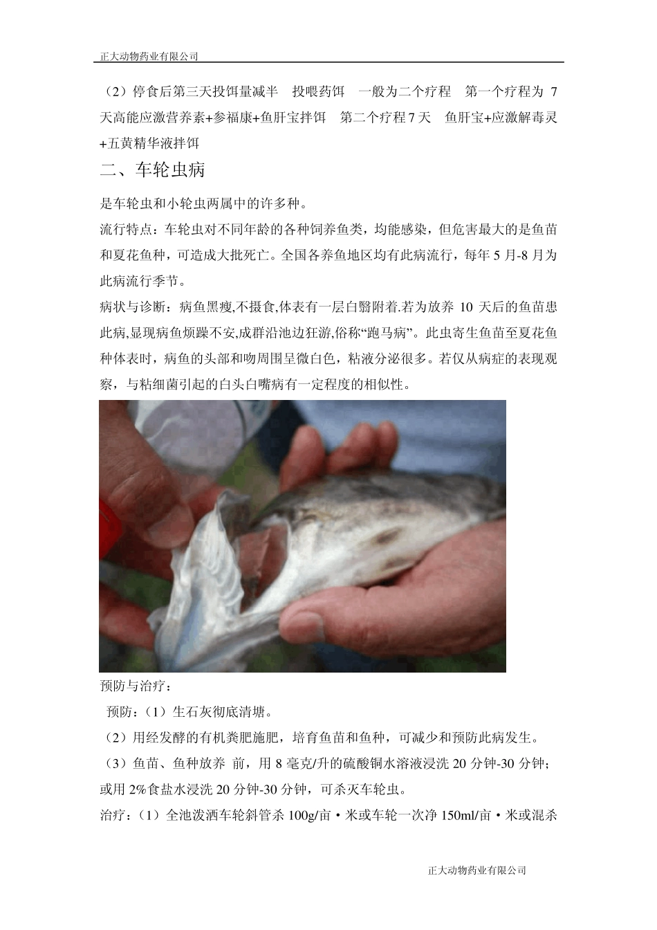 水产养殖中常见鱼病及治疗_第2页