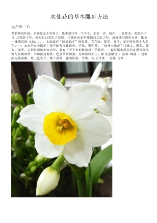 水仙花的基本雕刻方法