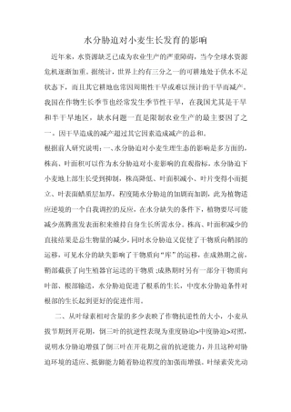 水分胁迫对小麦生长发育的影响