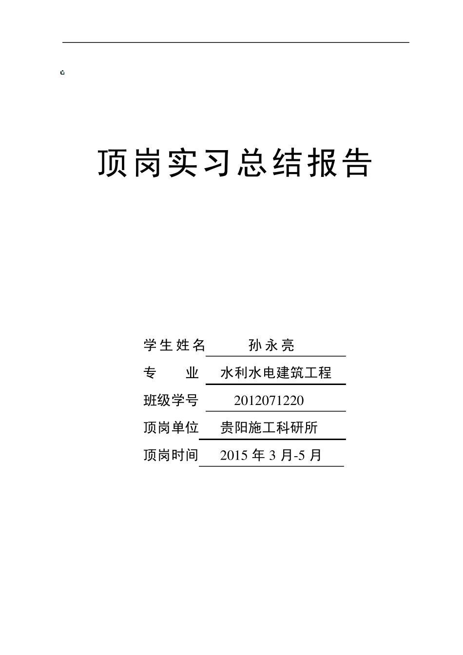 水利系顶岗实习报告_第2页