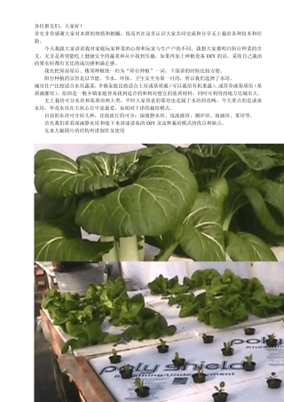 水培DIY参考文件