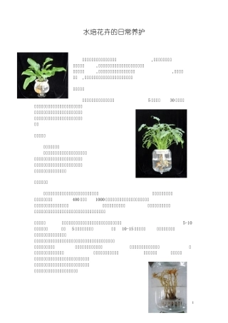 水培花卉的日常养护