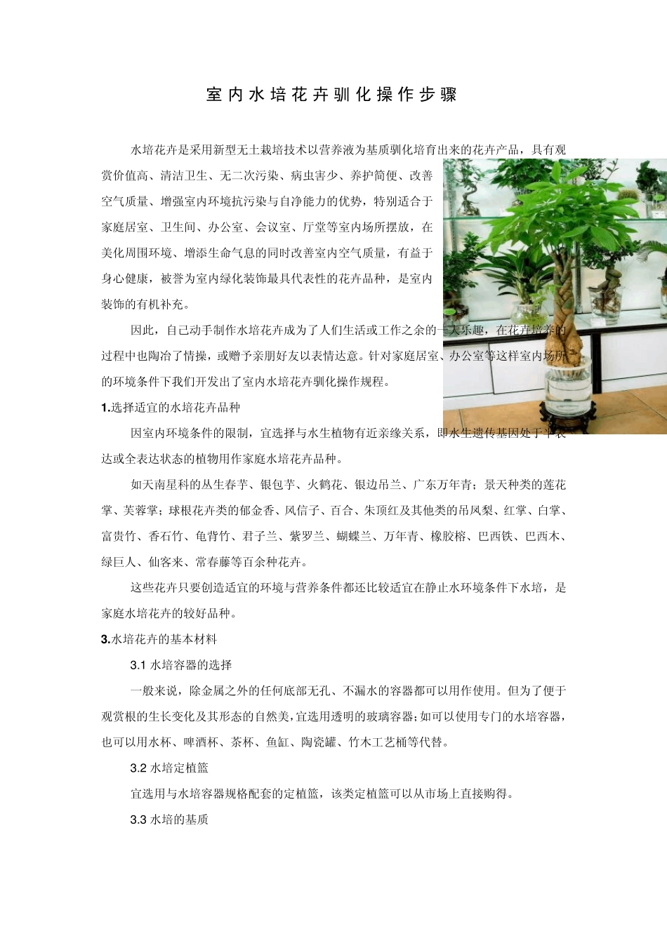 水培花卉驯化操作步骤_第1页