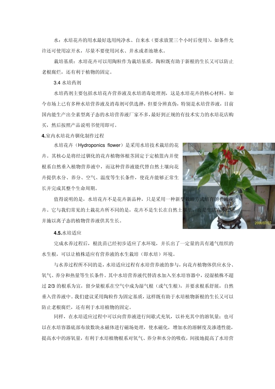 水培花卉驯化操作步骤_第2页