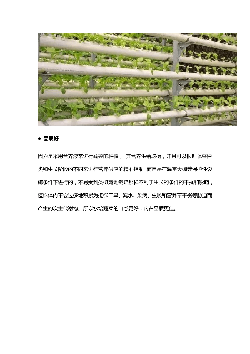 水培蔬菜水培技术_第2页