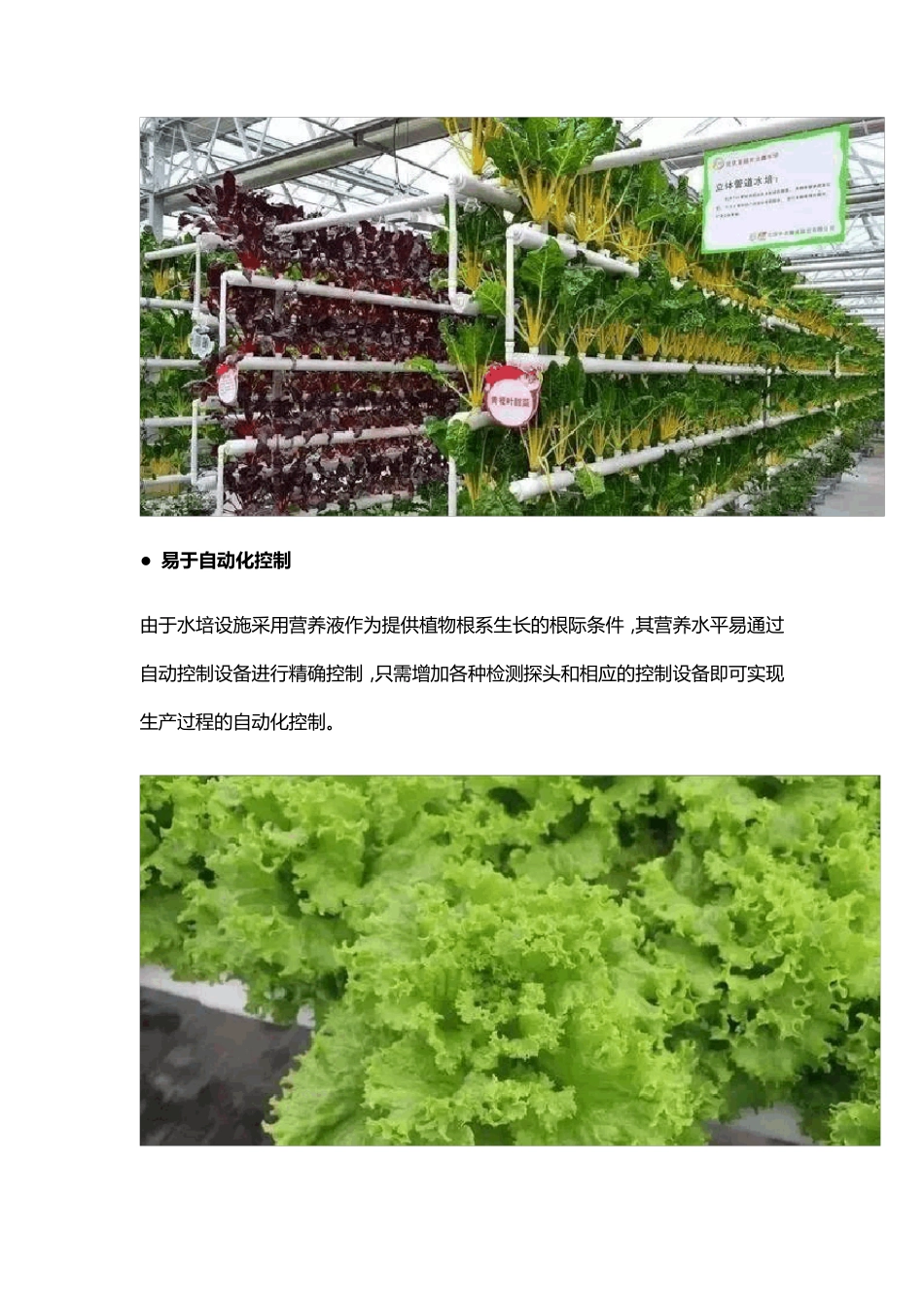 水培蔬菜水培技术_第3页