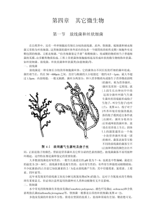 水处理微生物学第四章其它微生物