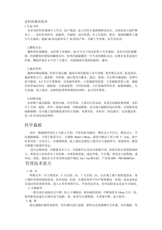 水杉的栽培技术