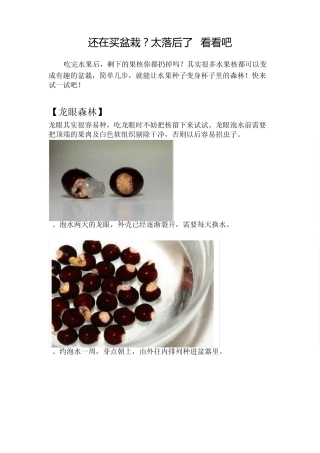 水果森林(自己种植小盆栽)