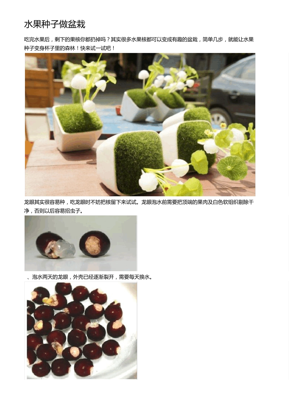 水果种子做盆栽_第1页