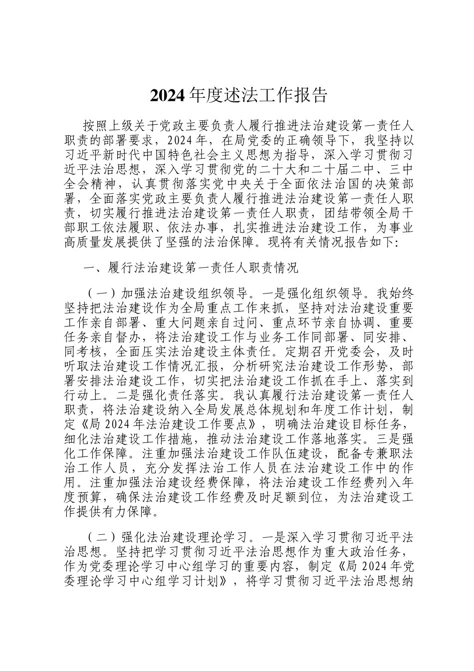 2024年度述法工作报告_第1页