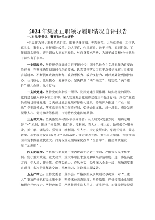 2024年集团正职领导履职情况自评报告
