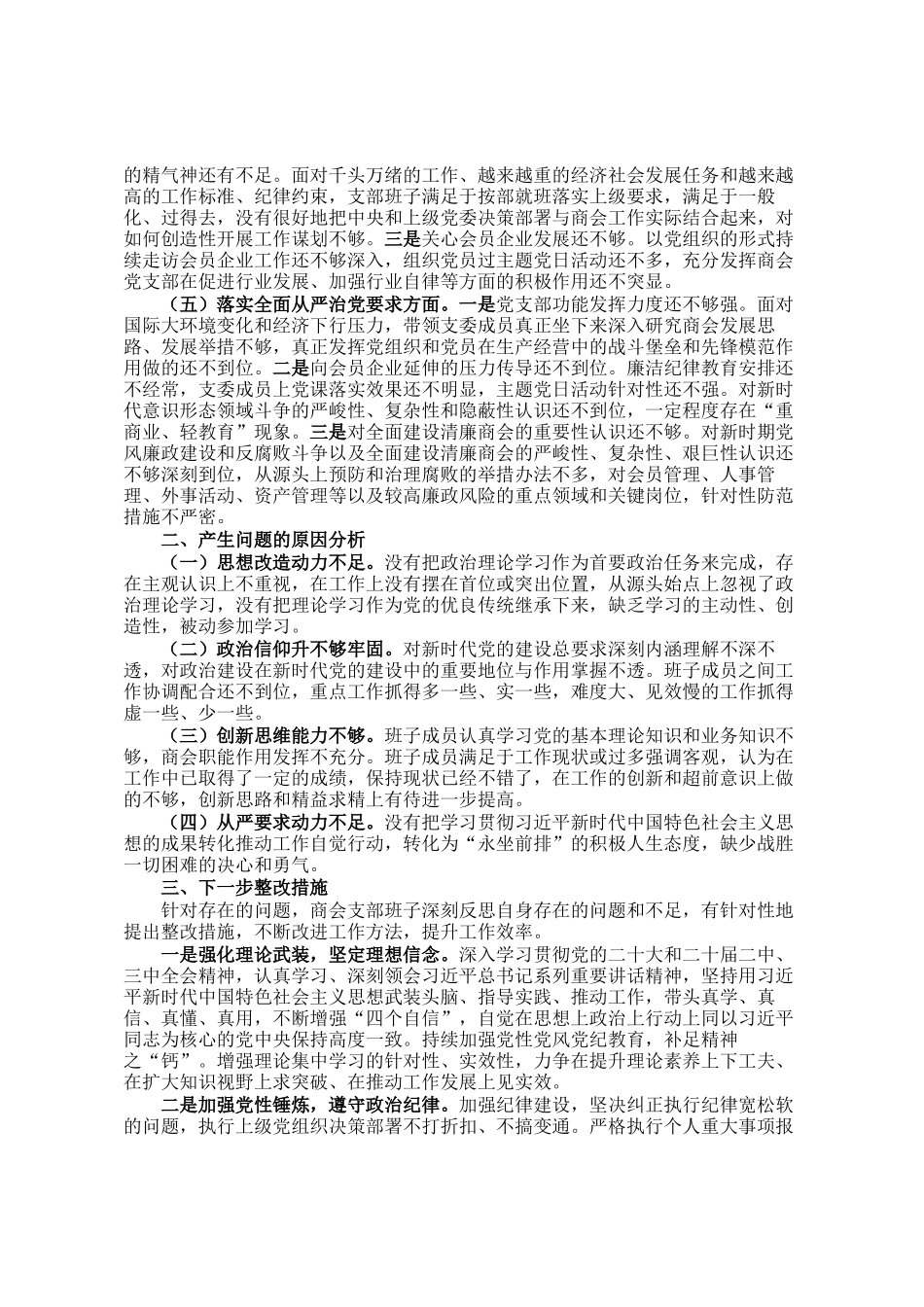 2024年商会支部班子对照检查材料_第2页