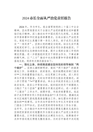 2024市长全面从严治党责任报告