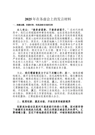 2025年在务虚会上的发言材料