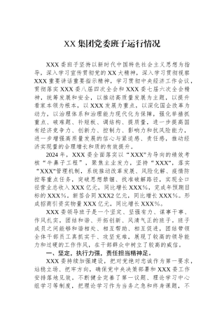 XX集团党委班子运行情况