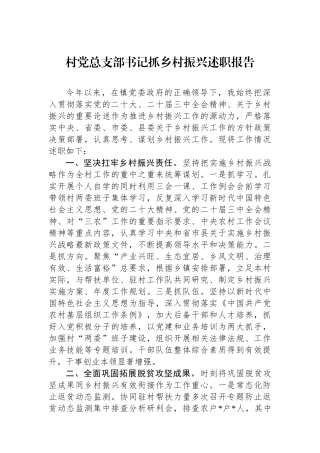 村党总支部书记抓乡村振兴述职报告