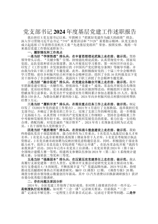 党支部书记2024年度基层党建工作述职报告
