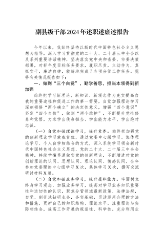 副县级干部2024年述职述廉述报告