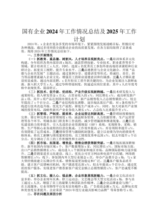 国有企业2024年工作情况总结及2025年工作计划