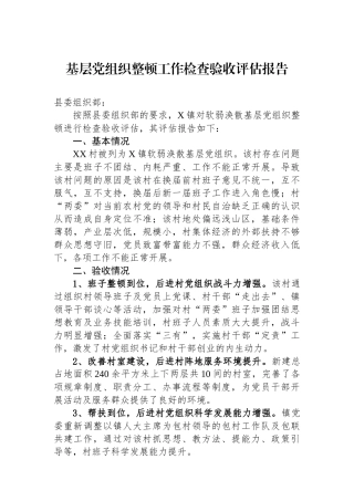 基层党组织整顿工作检查验收评估报告