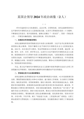 某国企领导2024年政治画像（2人）