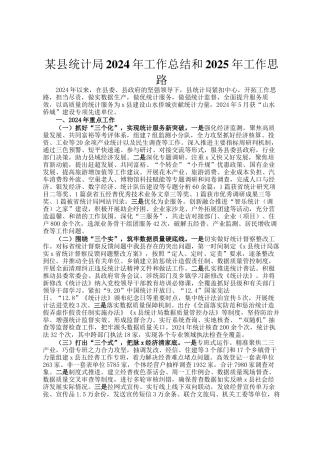 某县统计局2024年工作总结和2025年工作思路