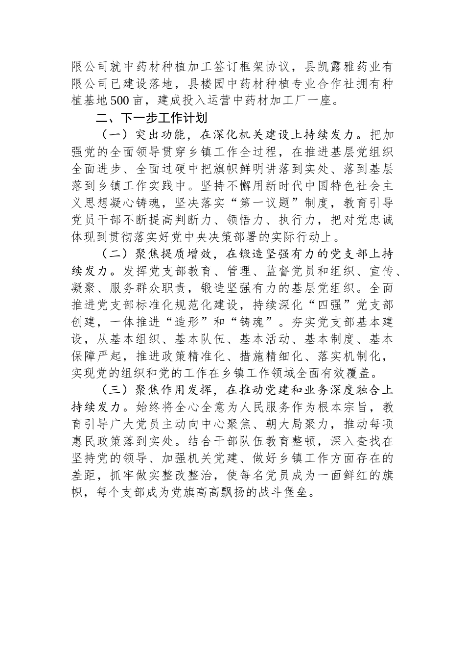 某乡镇党委书记2024年度抓基层党建工作述职报告_第3页
