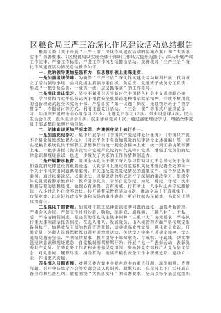 区粮食局三严三治深化作风建设活动总结报告