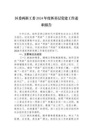区委两新工委2024年度抓基层党建工作述职报告