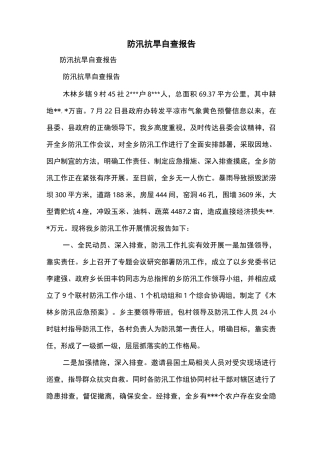 防汛抗旱自查报告