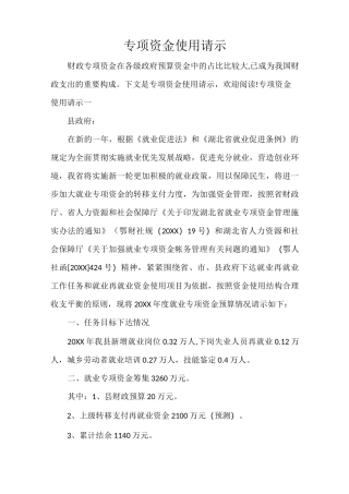 请示报告 专项资金使用请示
