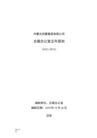 总裁办五年规划